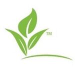 Southbridge Care Homes