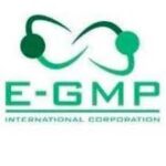 E-GMP International Corporation