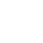 THE VILLAGE AT OCOTTILO